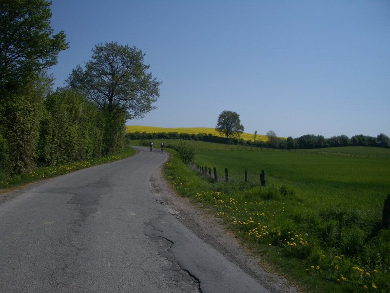 Bungsberg-CTF 556